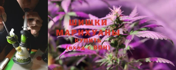 амф Майский