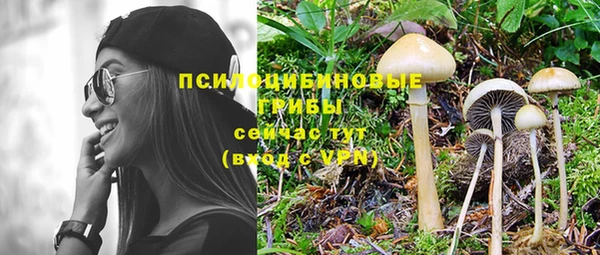 2c-b Магас