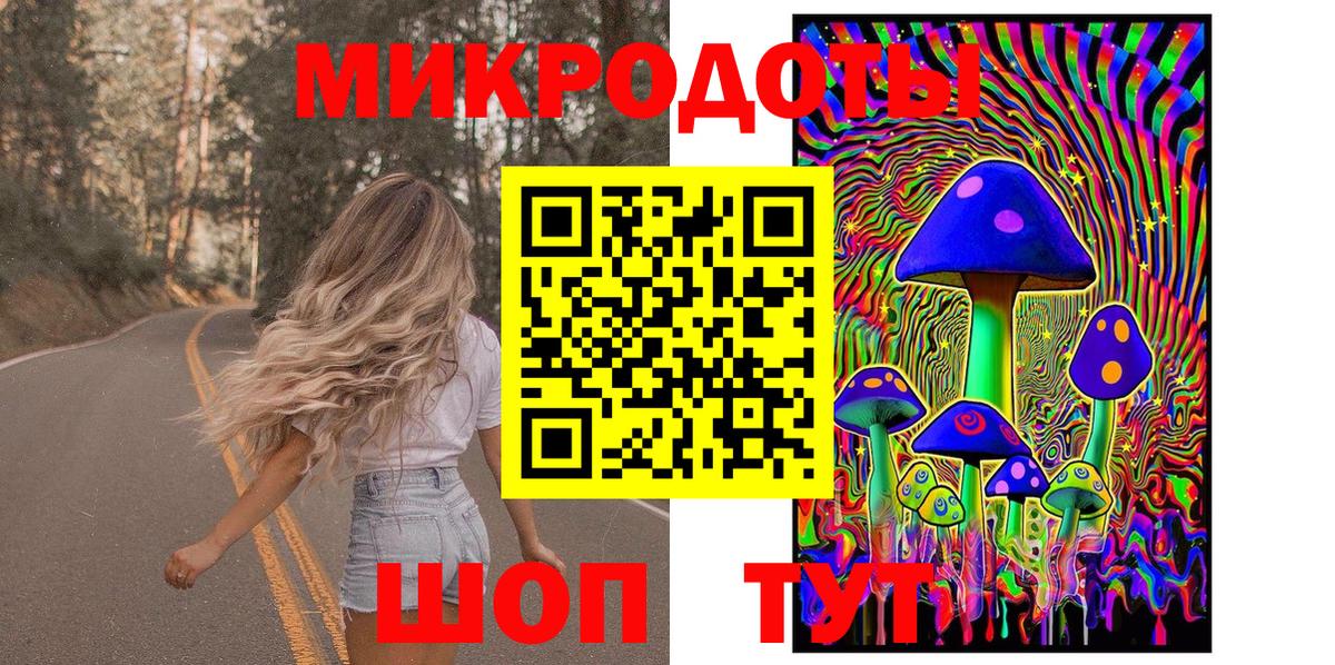 Псилоцибиновые грибы Psilocybe Новоалтайск