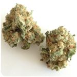 Шишки "White Widow"  (Белая вдова)  Гидропоника -  Бошка VHQ в Новоалтайске